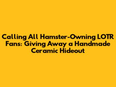 Calling All Hamster-Owning LOTR Fans: Giving Away a Handmade Ceramic Hideout