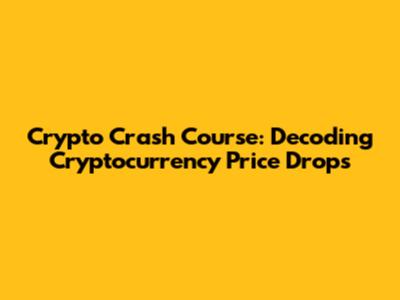 Crypto Crash Course: Decoding Cryptocurrency Price Drops