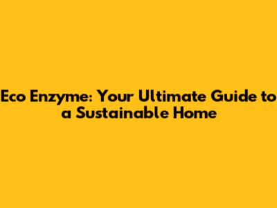 Eco Enzyme: Your Ultimate Guide to a Sustainable Home