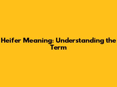 Heifer Meaning: Understanding the Term
