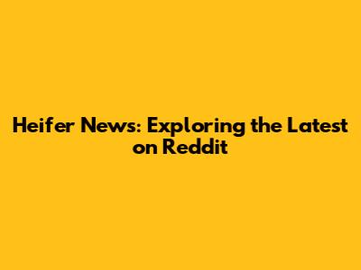 Heifer News: Exploring the Latest on Reddit