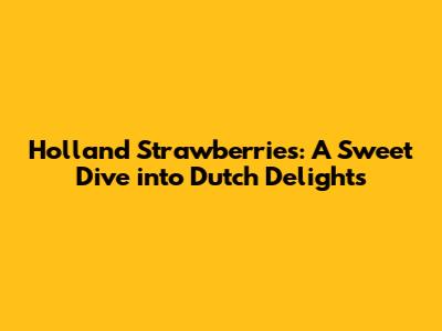 Holland Strawberries: A Sweet Dive into Dutch Delights