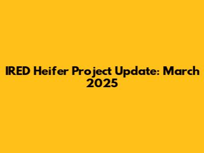 IRED Heifer Project Update: March 2025