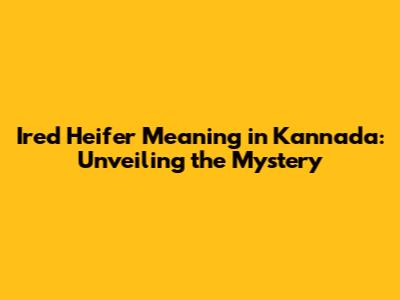 Ired Heifer Meaning in Kannada: Unveiling the Mystery