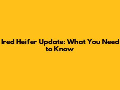 Ired Heifer Update: What You Need to Know