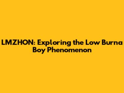 LMZHON: Exploring the Low Burna Boy Phenomenon