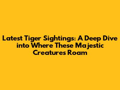 Latest Tiger Sightings: A Deep Dive into Where These Majestic Creatures Roam