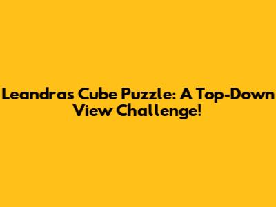 Leandra's Cube Puzzle: A Top-Down View Challenge!