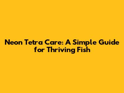 Neon Tetra Care: A Simple Guide for Thriving Fish