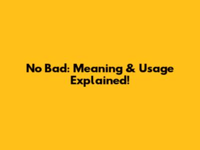 No Bad: Meaning & Usage Explained!