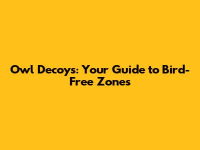 Owl Decoys: Your Guide to Bird-Free Zones
