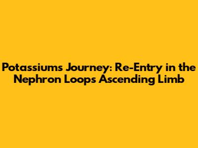 Potassium's Journey: Re-Entry in the Nephron Loop's Ascending Limb