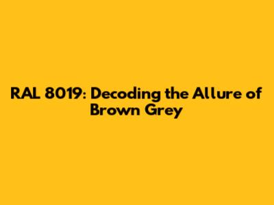 RAL 8019: Decoding the Allure of Brown Grey