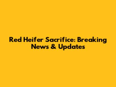 Red Heifer Sacrifice: Breaking News & Updates