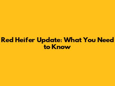 Red Heifer Update: What You Need to Know