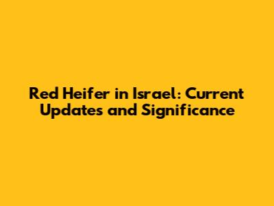 Red Heifer in Israel: Current Updates and Significance