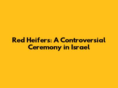Red Heifers: A Controversial Ceremony in Israel
