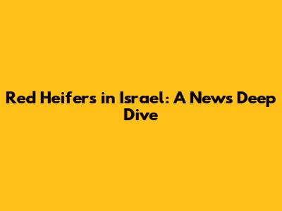 Red Heifers in Israel: A News Deep Dive