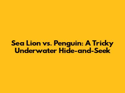 Sea Lion vs. Penguin: A Tricky Underwater Hide-and-Seek