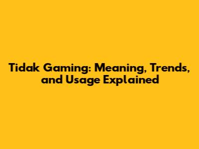 Tidak Gaming: Meaning, Trends, and Usage Explained