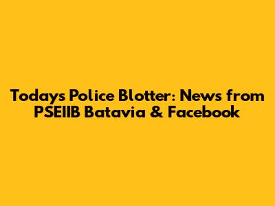 Today's Police Blotter: News from PSEIIB Batavia & Facebook