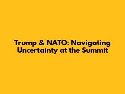 Trump & NATO: Navigating Uncertainty at the Summit
